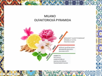 Tekuté mýdlo na ruce MILANO